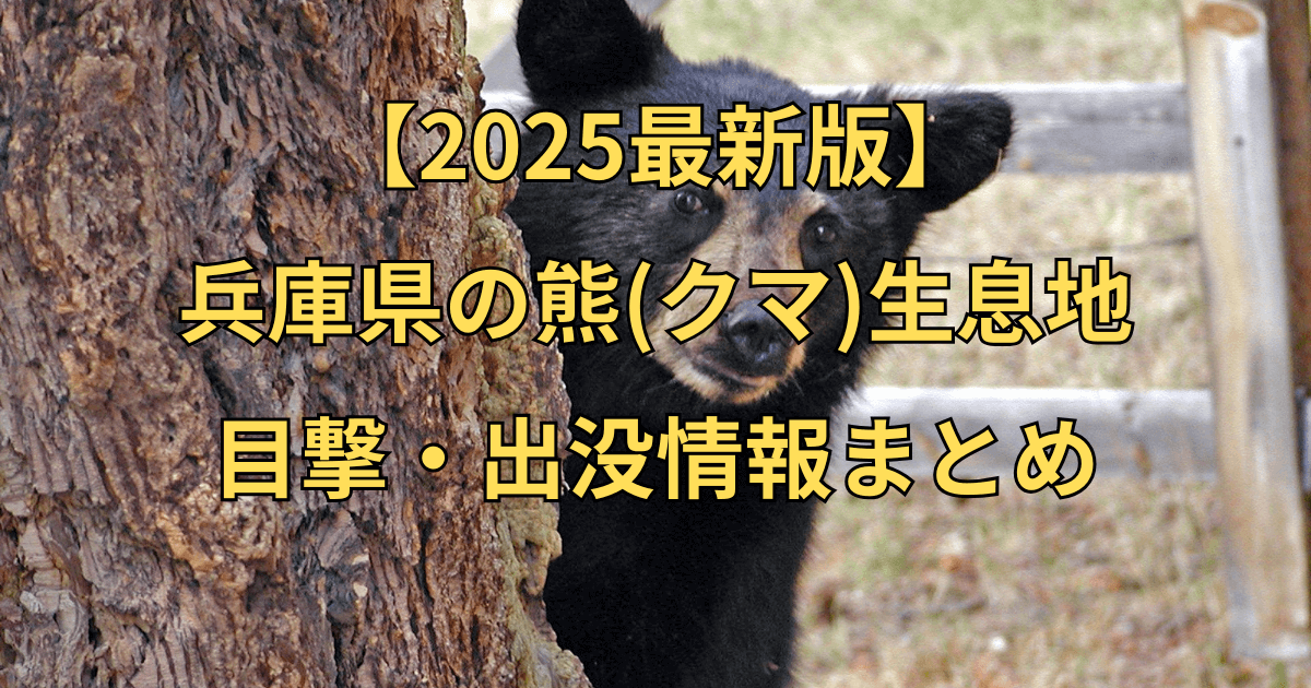【2025最新】兵庫県の熊（クマ）生息地と目撃・出没・被害情報まとめ