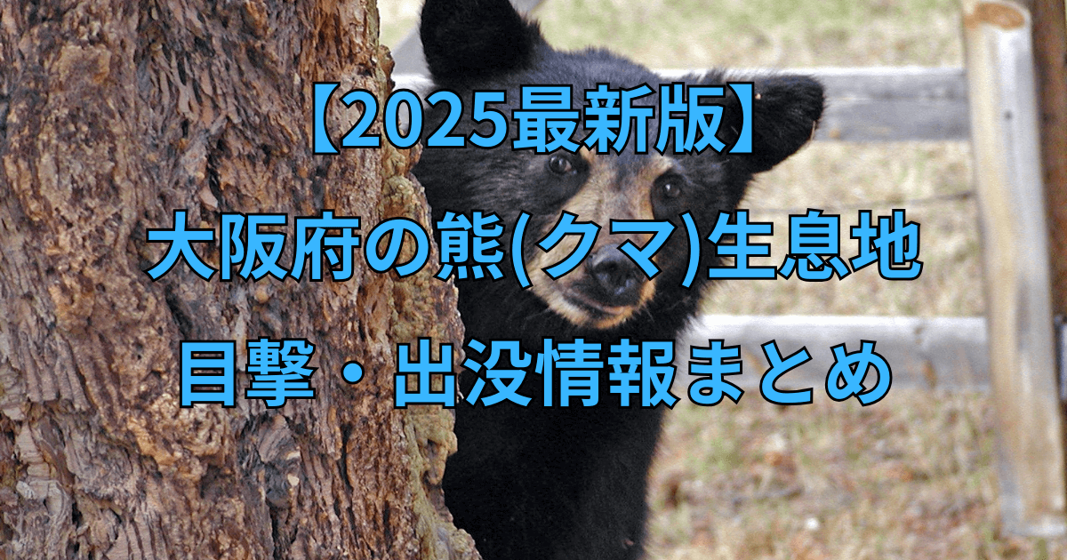 【2025最新】大阪府の熊(クマ)生息地と目撃・出没情報まとめ