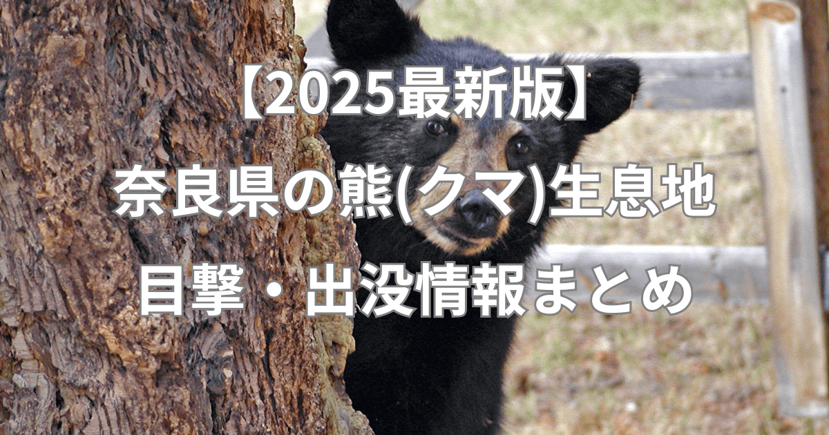 【2025最新版】奈良県の熊(クマ)生息地と目撃・出没情報まとめ