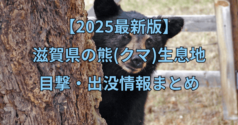 【2025最新】滋賀県の熊（クマ）生息地と目撃・出没情報まとめ