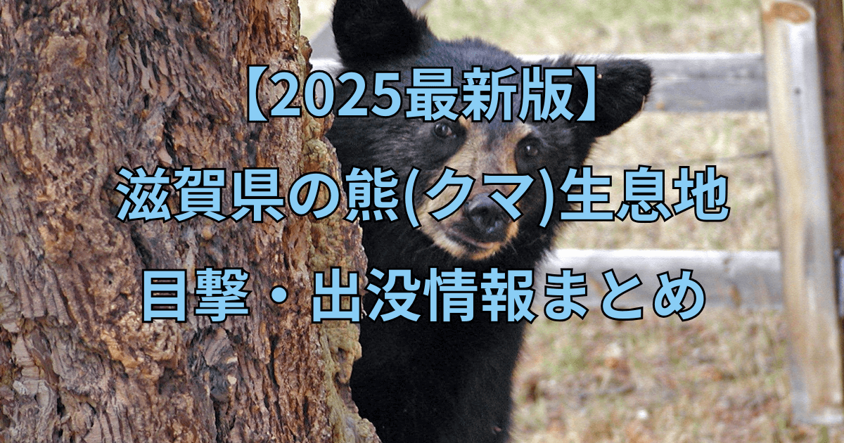 【2025最新】滋賀県の熊（クマ）生息地と目撃・出没情報まとめ