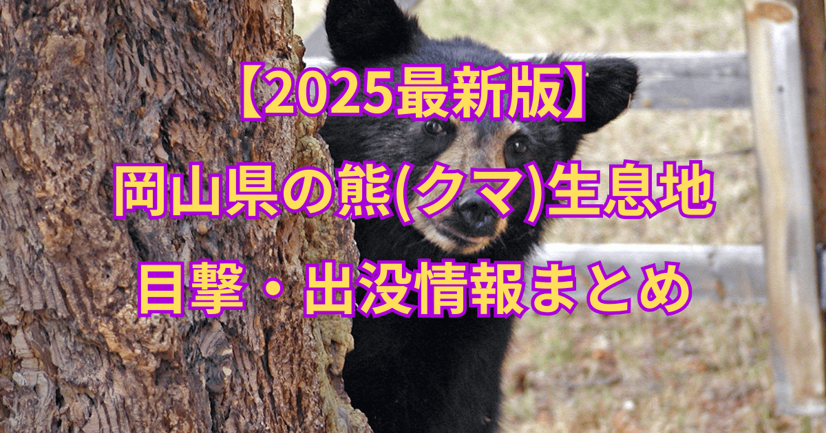【2025最新】岡山県の熊(クマ)生息地と目撃・出没情報まとめ