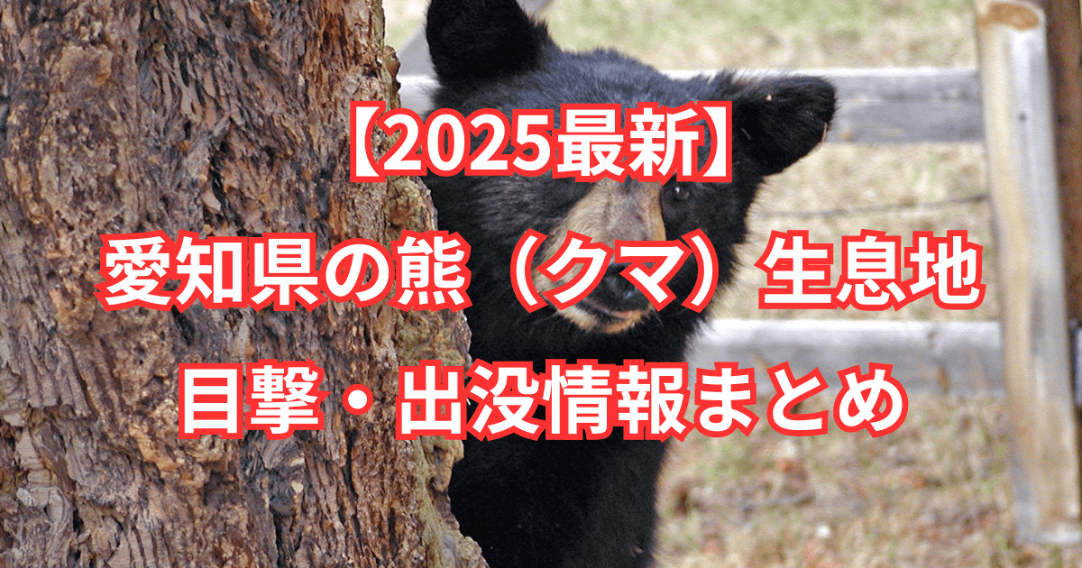 【2025最新】愛知県の熊（クマ）生息地と目撃・出没情報まとめ
