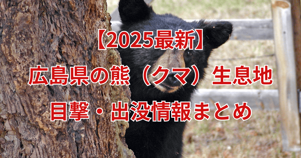 【2025最新】広島県の熊(クマ)生息地と目撃・出没情報まとめ