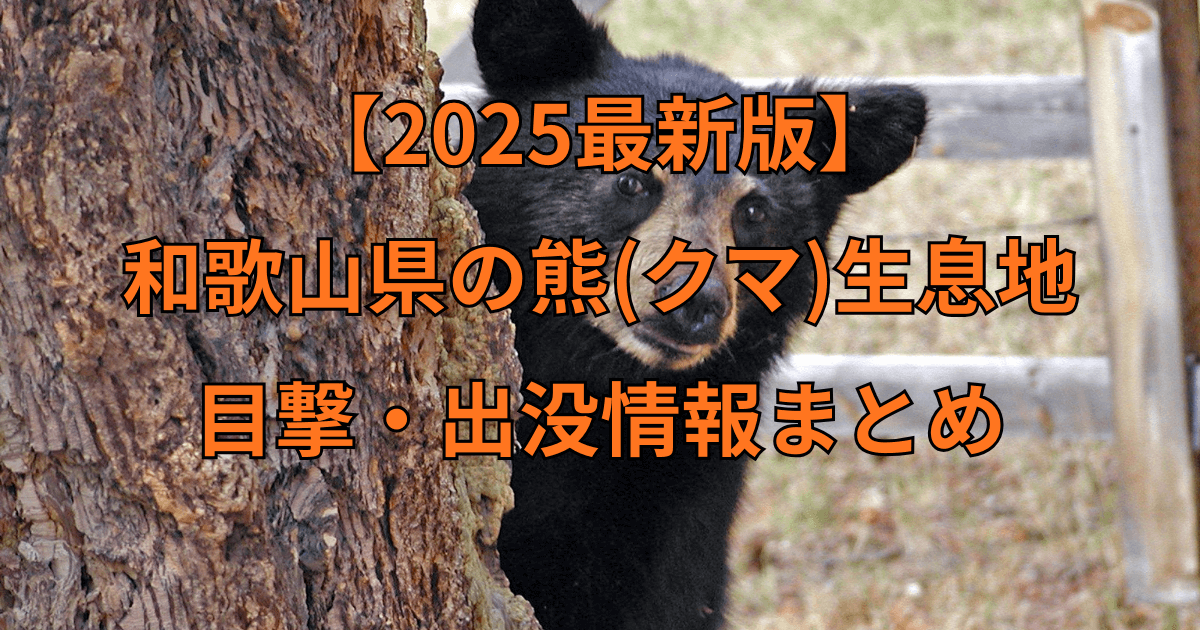 【2025最新】和歌山県の熊（クマ）生息地と目撃・出没情報まとめ