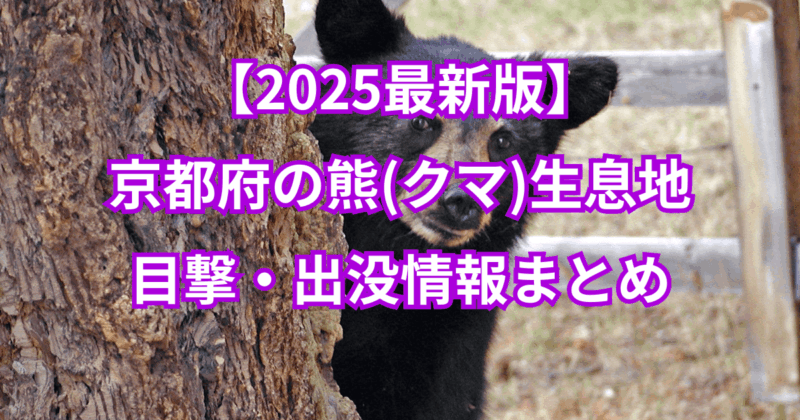 【2025最新】京都府の熊(クマ)生息地と目撃・出没情報まとめ