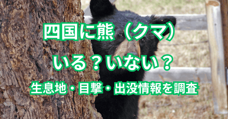 四国に熊（クマ）はいる？いない？生息地・目撃・出没情報を調査