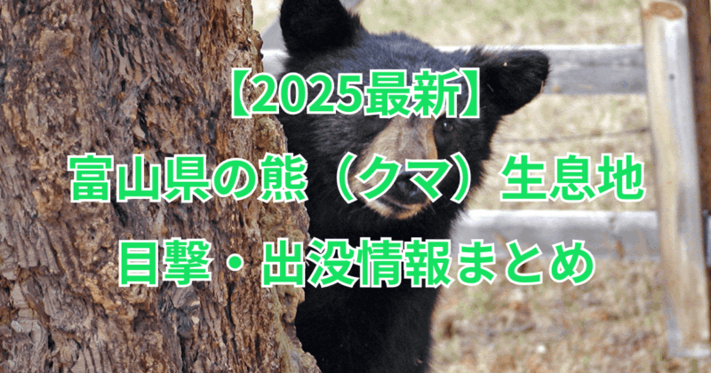 【2025最新】富山県の熊(クマ)生息地と目撃・出没情報まとめ