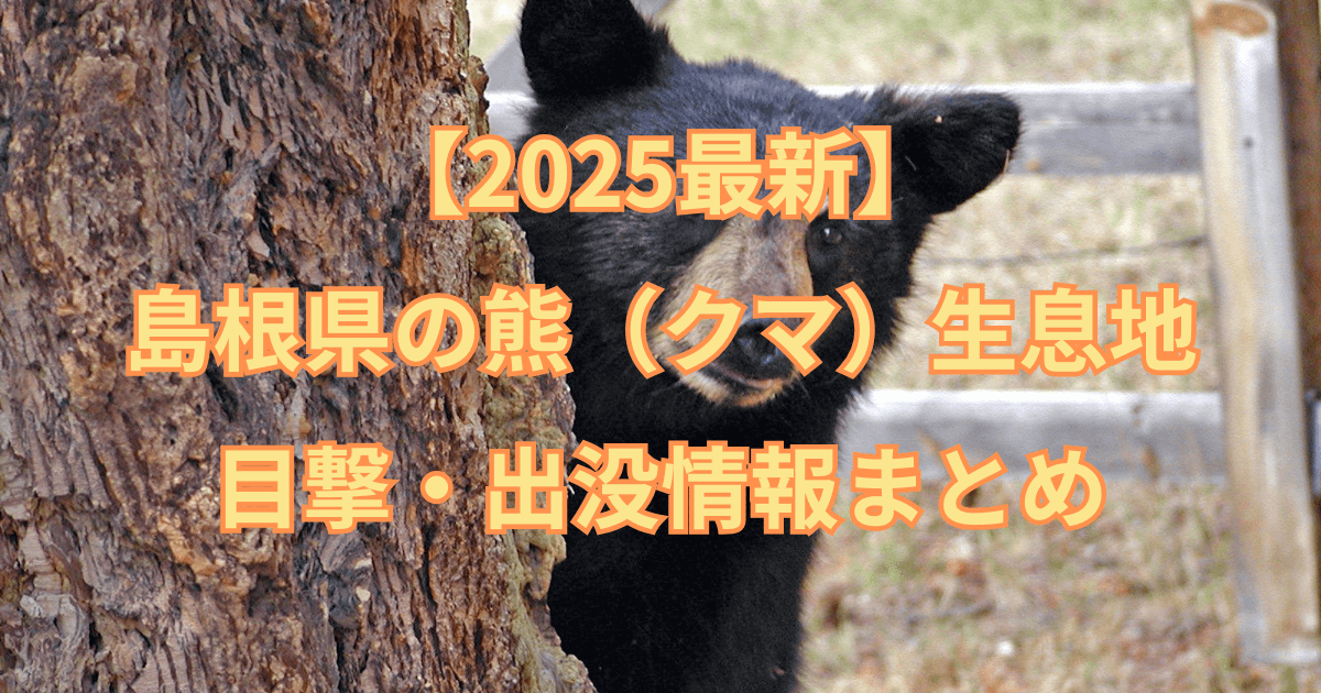 【2025最新】島根県の熊（クマ）生息地と目撃・出没情報まとめ