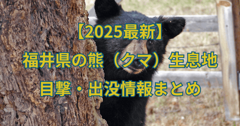 【2025最新】福井県の熊(クマ)生息地と目撃・出没情報まとめ