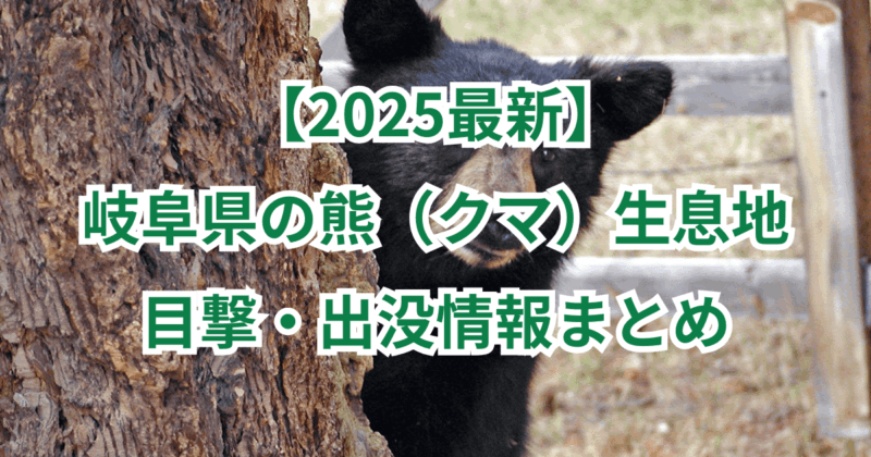 【2025最新】岐阜県の熊(クマ)生息地と目撃・出没情報まとめ