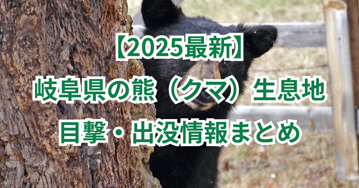 【2025最新】岐阜県の熊(クマ)生息地と目撃・出没情報まとめ
