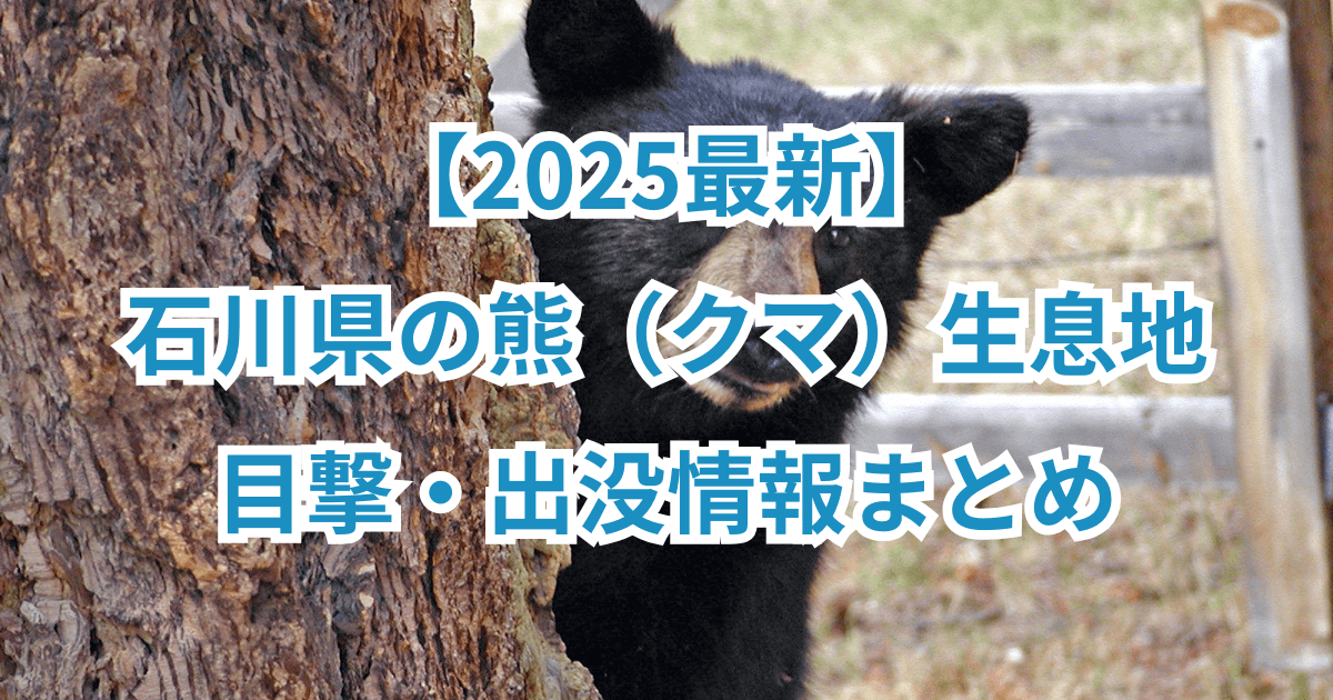 【2025最新】石川県の熊(クマ)生息地と目撃・出没情報まとめ