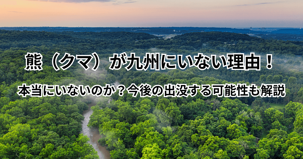 熊（クマ）が九州にいない理由！本当にいないのかと今後の出没する可能性も解説