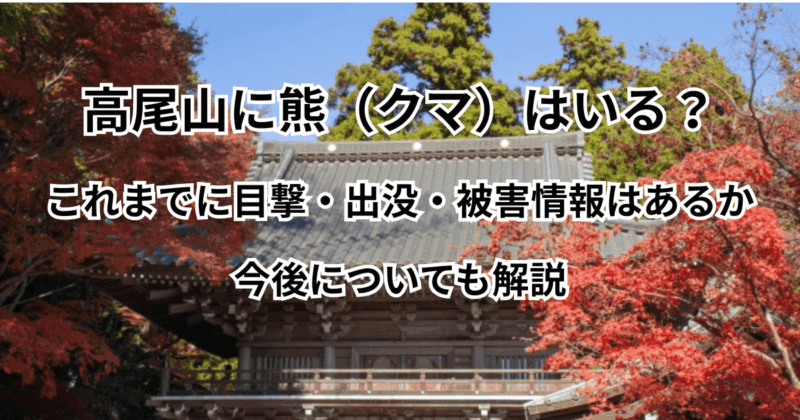高尾山に熊（クマ）はいる？これまでに目撃・出没・被害情報はあるか・今後についても解説