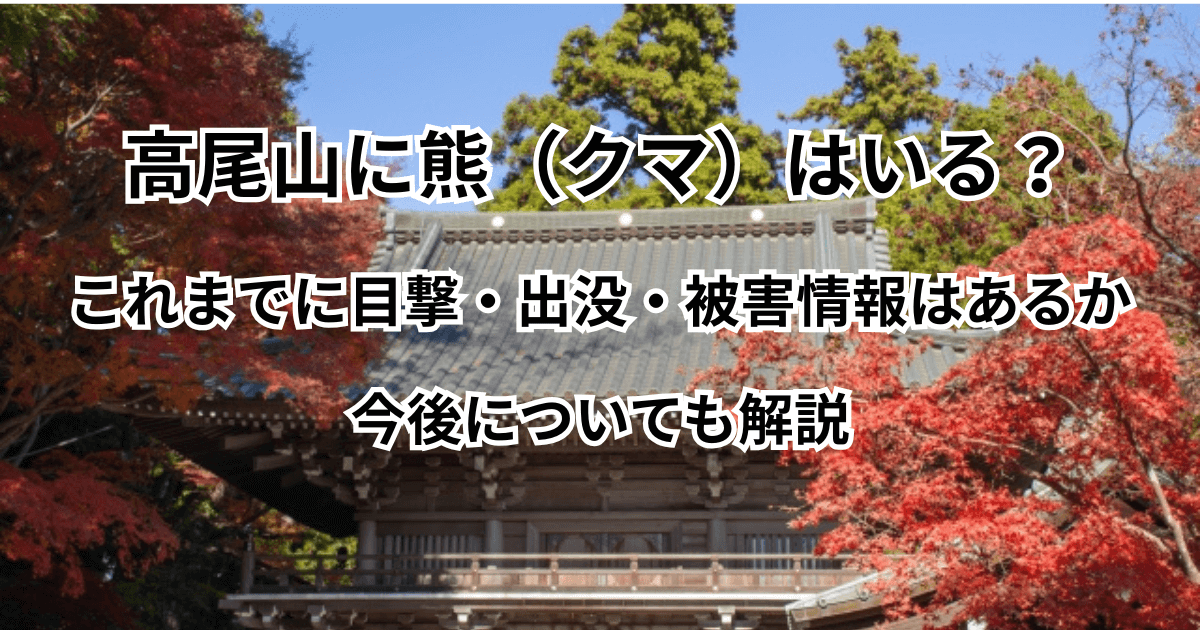 高尾山に熊（クマ）はいる？これまでに目撃・出没・被害情報はあるか・今後についても解説
